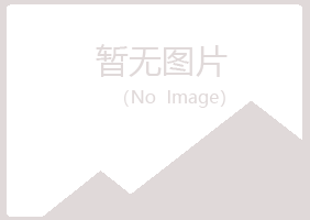 黑龙江夏日计算机有限公司